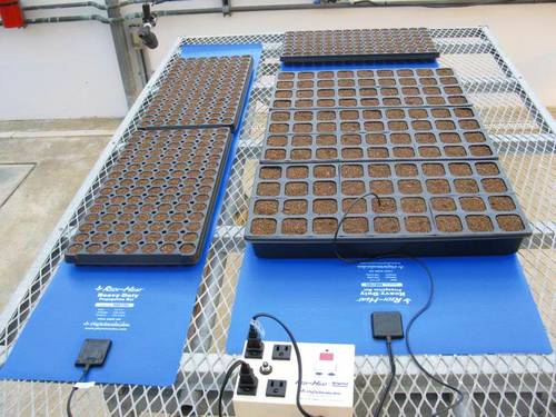 پد گرمایشی جوانه زنی چیست؟